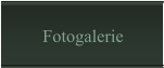 Fotogalerie